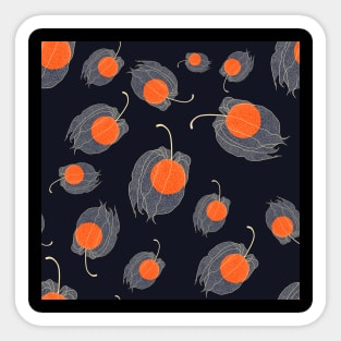 Physalis fruits Sticker